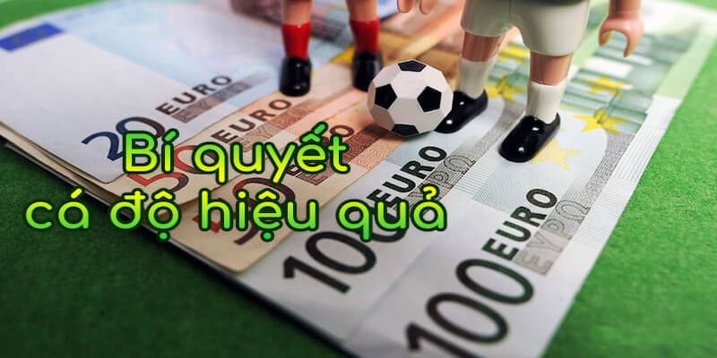 Chiến thuật cá cược hiệu quả